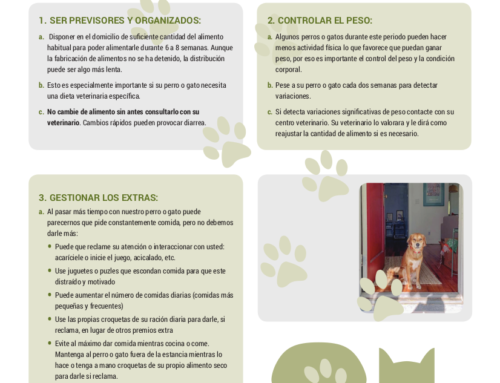 Consejos para propietarios de mascotas